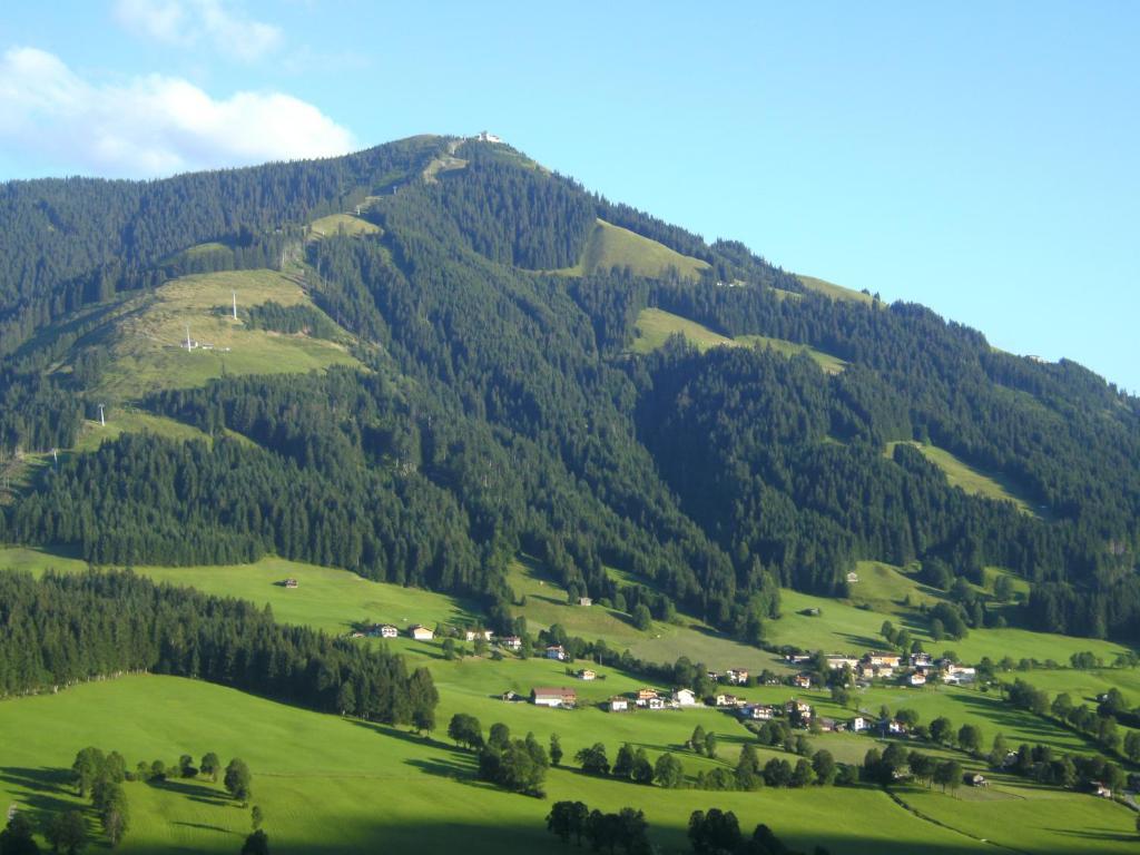 Bauernhof Hundbichl Villa Brixen im Thale Bagian luar foto